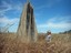 Boy Meets Termite World - Courtesy Tonya Lickiss