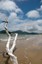 Cooktown View - Courtesy Vanessa Gillen