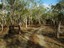 Country Roads - Courtesy Vanessa Gillen
