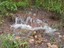 Crystal Waters - Courtesy Margaret Craker