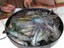 Dinner - Courtesy Graham Burton