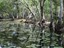 Keatings Lagoon - Courtesy Ian Macrae