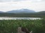 Kings Plains Lagoon - Courtesy Waratah Nicholls