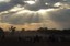 Mustering - Courtesy Karlene Shephard