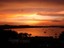 Pink and Gold - Courtesy Vanessa Gillen