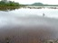 Salt Plains Near Marton - Courtesy Isobel Skoczek