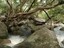 Below Trevethan Falls - Courtesy Kylie Devenish