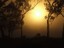 Winter Morning Sun - Courtesy Karlene Shephard