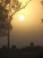 Winter Morning - Courtesy Karlene Shephard