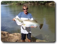 Barramundi. Courtesy The Lure Shop.
