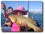 Islander Trout. Courtesy Gone Fishing