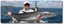 Mackeral. Courtesy Gone Fishing