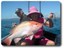 Red Emperor. Courtesy Gone Fishing