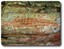 Mushroom Rock Art
