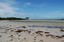 Archer Point - Archer Point beach, Cooktown