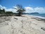 Weary Bay  - Weary Bay beach, Ayton