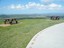 Grassy Hill - Redevelopment at Grassy Hill