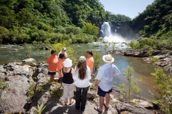 Bloomfield Falls Tour