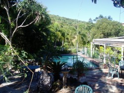 Hillcrest Guesthouse pool Hillcrest Guesthouse pool