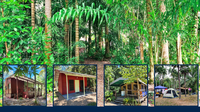 Haley's Cabins and Camping