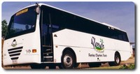 Peddells bus