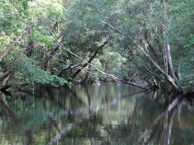 Calm Waters of Twin Bridges