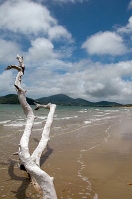 Cooktown View