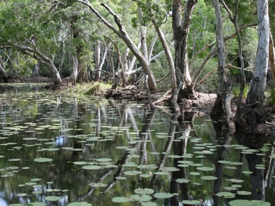 Keatings Lagoon