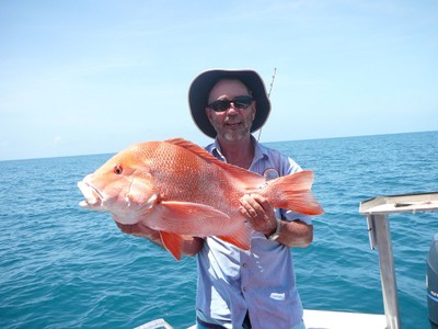 77cm Red Emperor