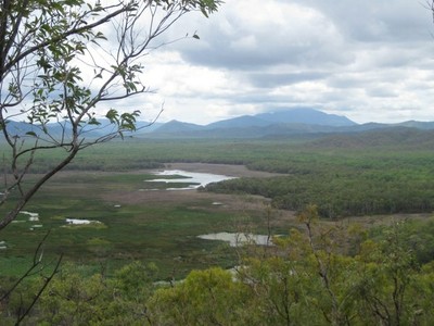 Great_Dividing_Range_-warratah.JPG