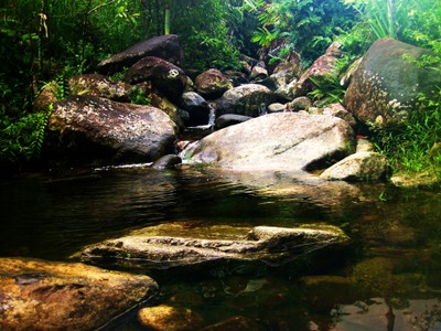 rocky_rainforest_creek-alf.JPG