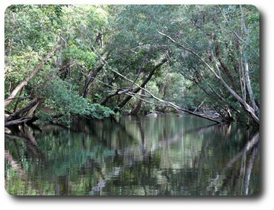 Calm Waters of Twin Bridges