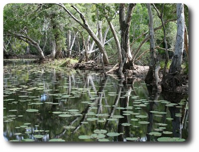 Keatings Lagoon