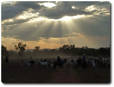 Mustering