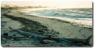 Remote beach, East Cape