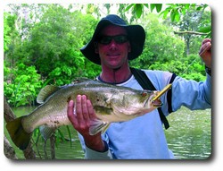 Barramundi catch