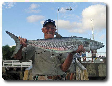 Spanish mackerel at the wharf