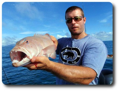 Coral trout