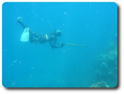 Spearfishing