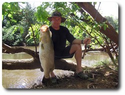 Barramundi