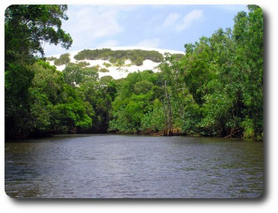 Mcivor River Sand Dune