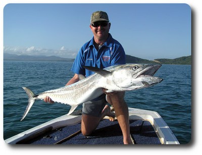 Spanish mackeral