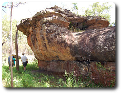 Mushroom Rock Art