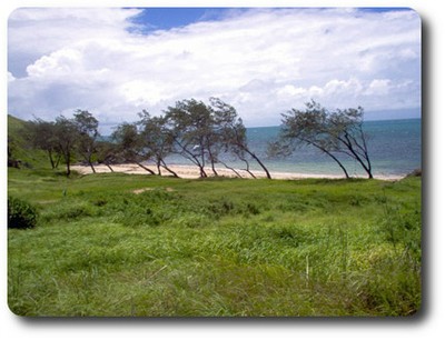 Archer Point Beach