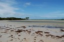  Archer Point  – Archer Point beach, Cooktown