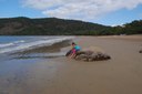  Quarantine Bay  – Quarantine Bay Beach near Cooktown