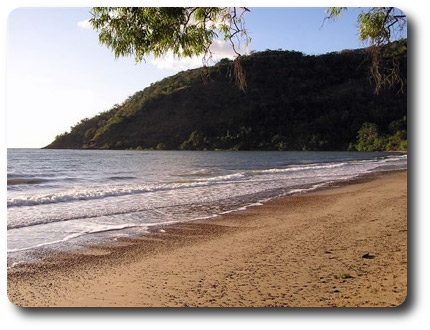 Quarantine Bay 