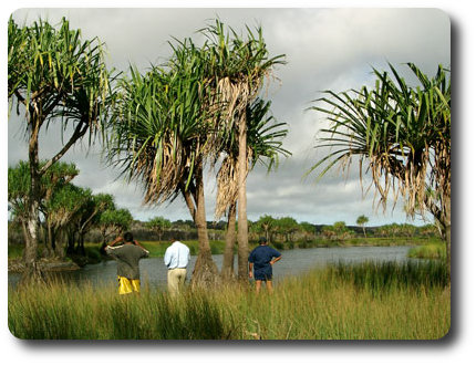 Cape Melville NP