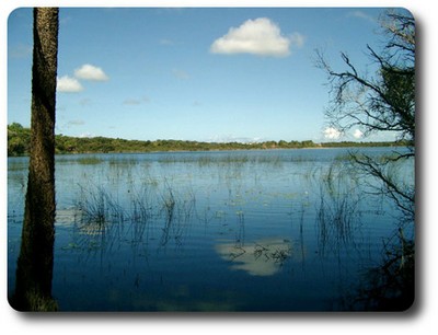 Cape Melville NP