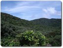 Cedar Bay National Park